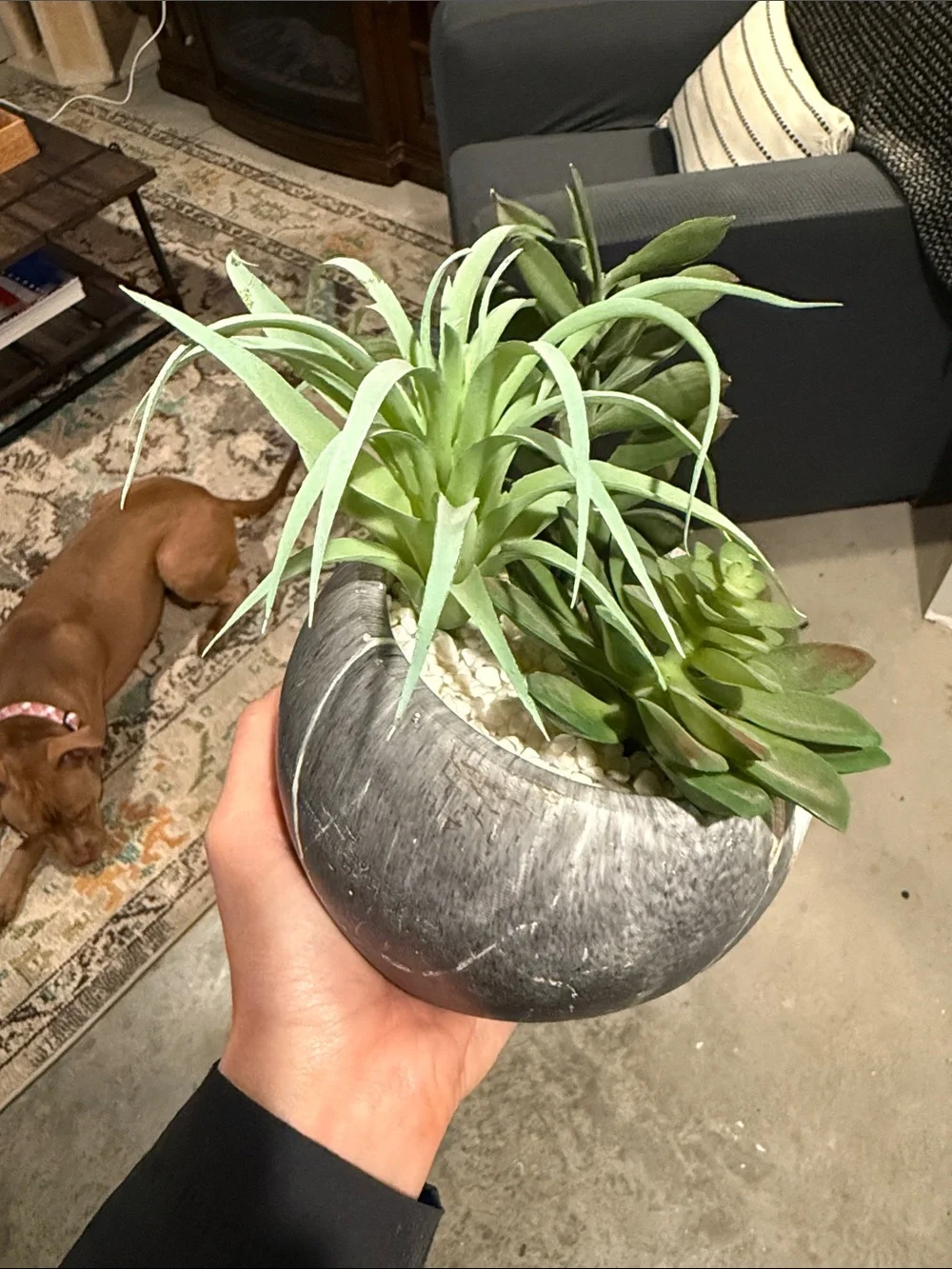 Artificial Succulent Arrangement in Grey Marble Pot
